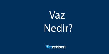 Vaz Nedir?