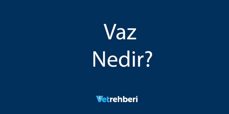 Vaz Nedir?