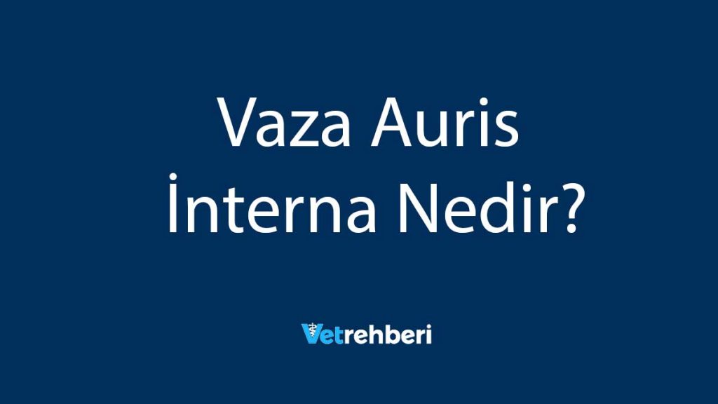 Vaza Auris İnterna Nedir?