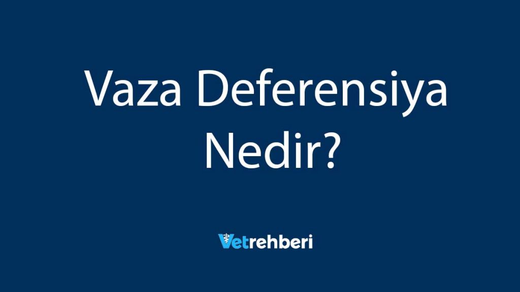 Vaza Deferensiya Nedir?