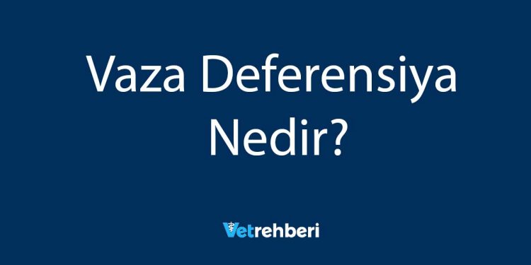 Vaza Deferensiya Nedir?