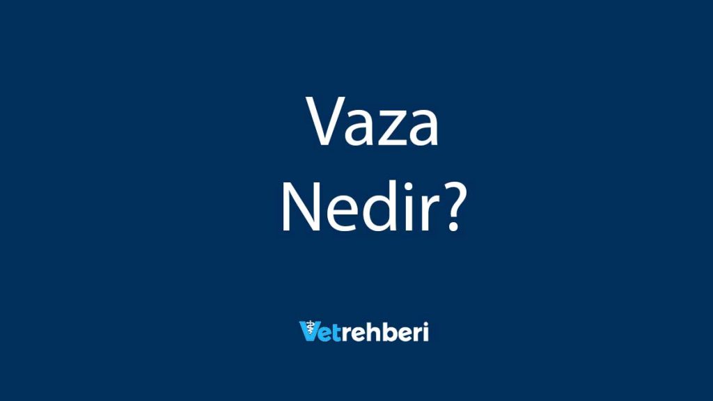 Vaza Nedir?