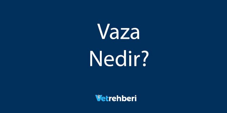 Vaza Nedir?