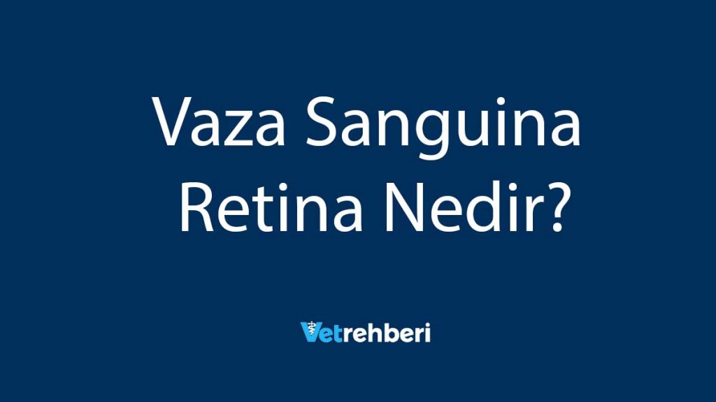 Vaza Sanguina Retina Nedir?