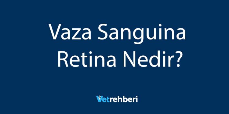 Vaza Sanguina Retina Nedir?