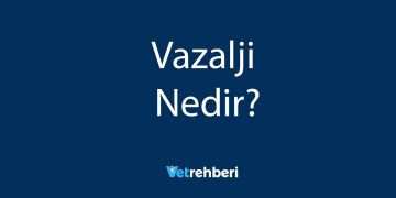 Vazalji Nedir?
