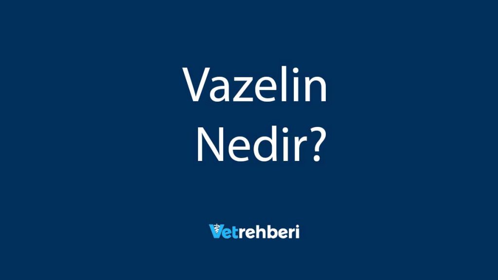 Vazelin Nedir?