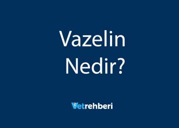 Vazelin Nedir?