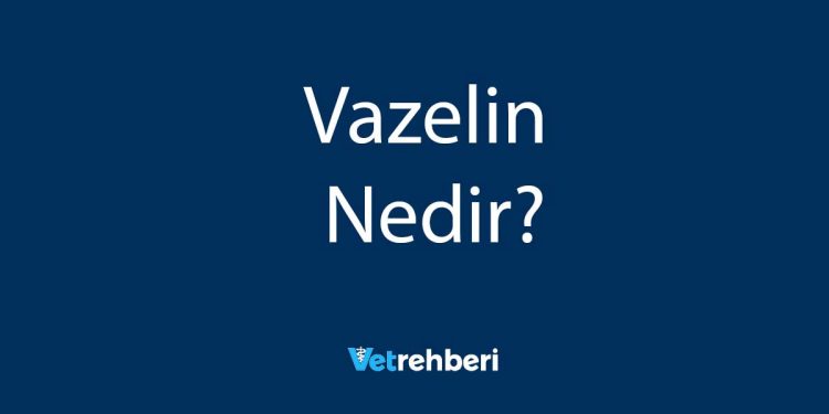 Vazelin Nedir?