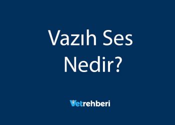 Vazıh Ses Nedir?