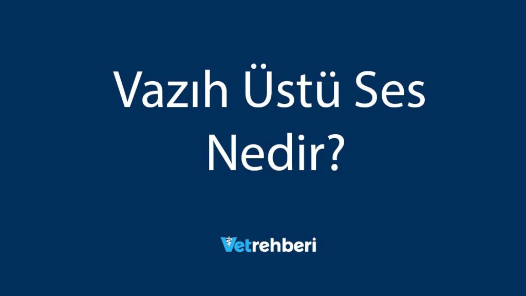 Vazıh Üstü Ses Nedir?