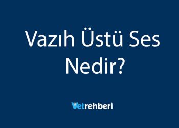 Vazıh Üstü Ses Nedir?