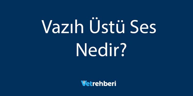 Vazıh Üstü Ses Nedir?