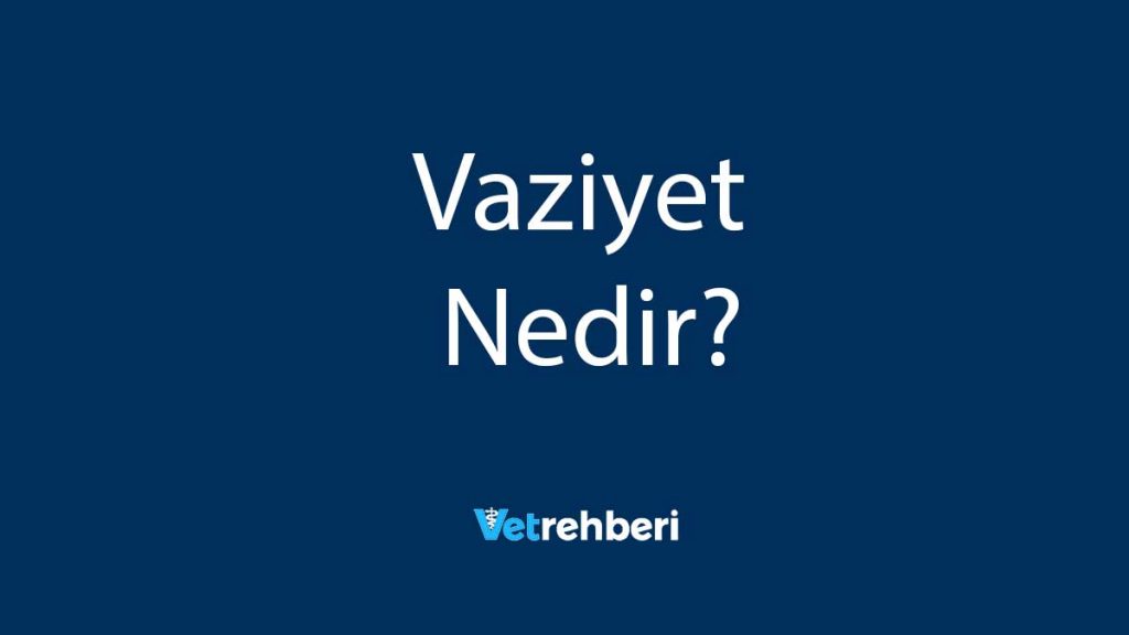 Vaziyet Nedir?