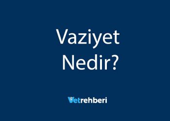 Vaziyet Nedir?