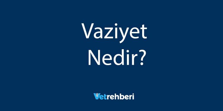 Vaziyet Nedir?