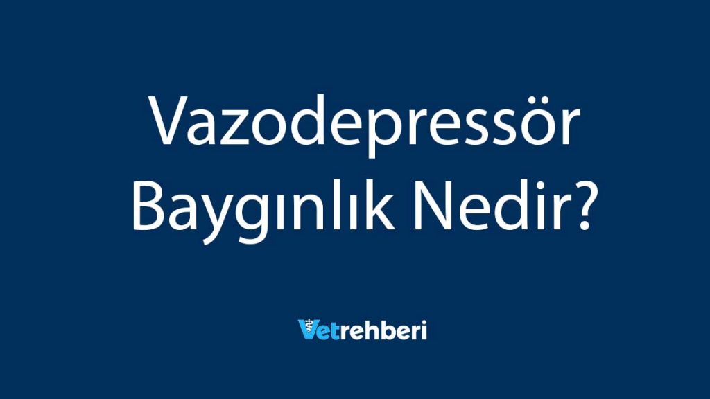 Vazodepressör Baygınlık Nedir?