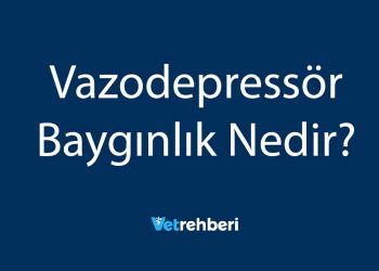 Vazodepressör Baygınlık Nedir?