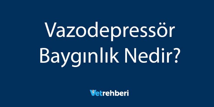 Vazodepressör Baygınlık Nedir?