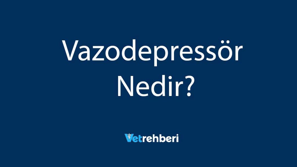 Vazodepressör Nedir?