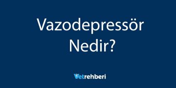 Vazodepressör Nedir?