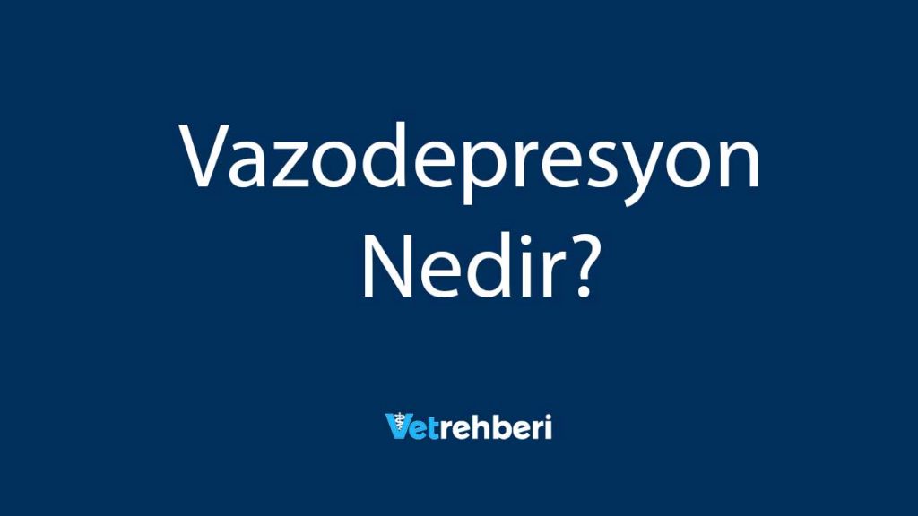 Vazodepresyon Nedir?