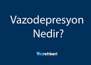 Vazodepresyon Nedir?