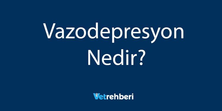 Vazodepresyon Nedir?