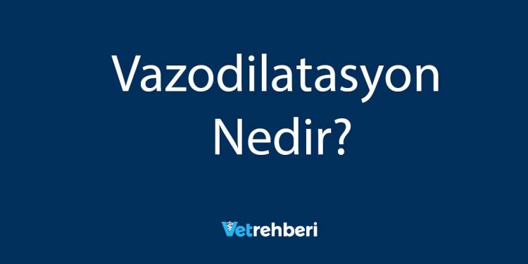 Vazodilatasyon Nedir?