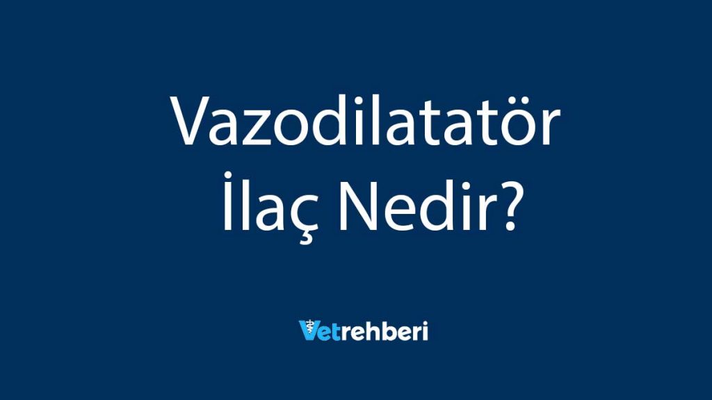 Vazodilatatör İlaç Nedir?