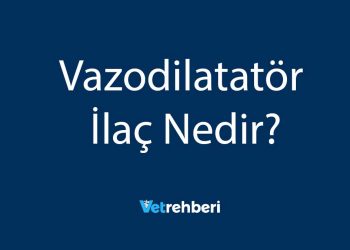 Vazodilatatör İlaç Nedir?