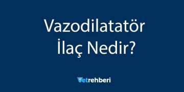 Vazodilatatör İlaç Nedir?