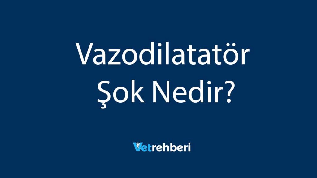 Vazodilatatör Şok Nedir?