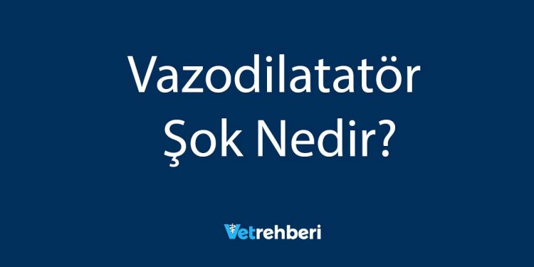 Vazodilatatör Şok Nedir?