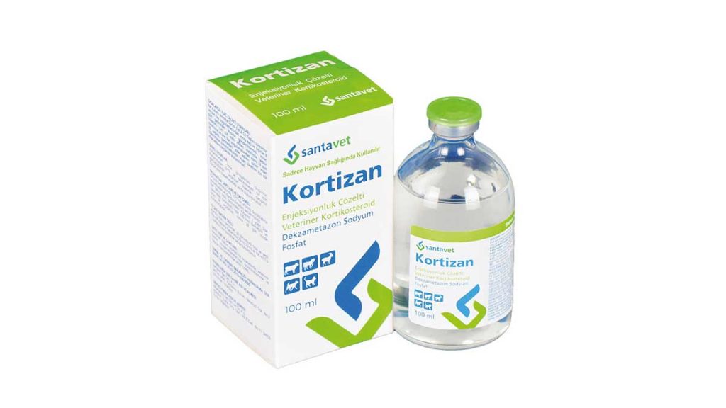 Kortizan