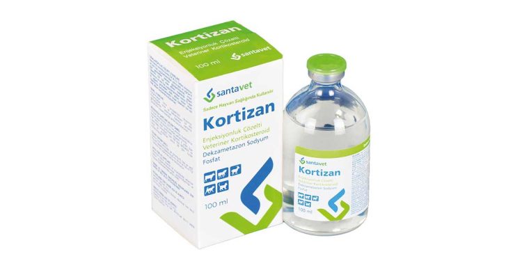 Kortizan