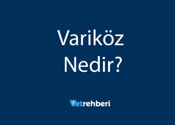 Variköz Nedir?
