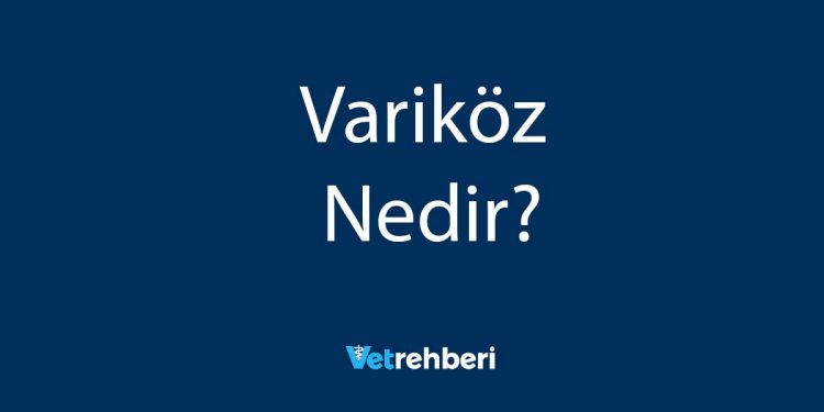 Variköz Nedir?