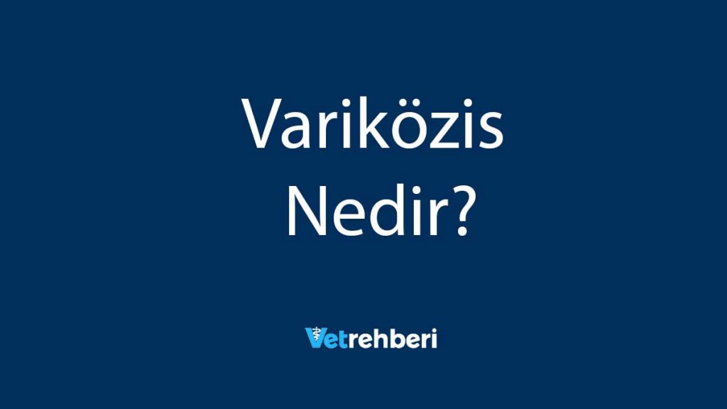 Variközis Nedir?