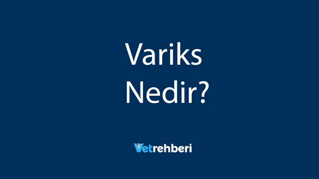 Variks Nedir?