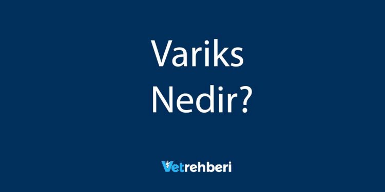 Variks Nedir?