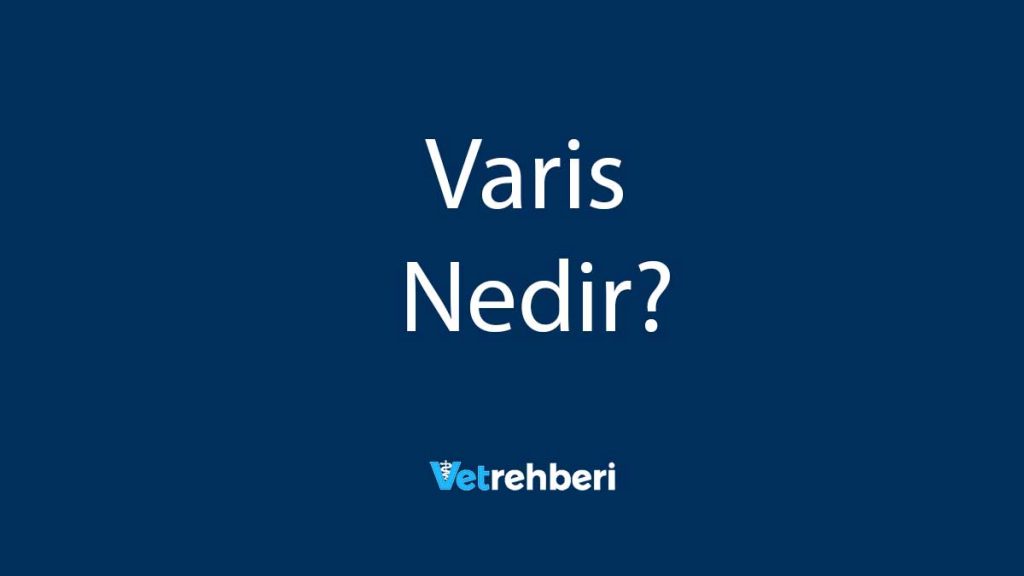 Varis Nedir?