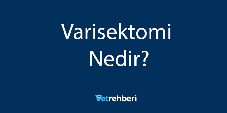 Varisektomi Nedir?