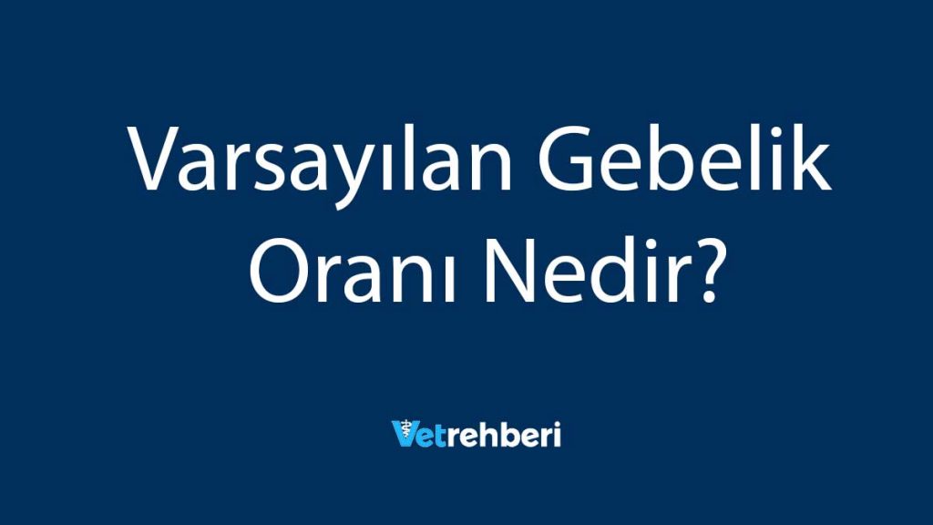 Varsayılan Gebelik Oranı Nedir?