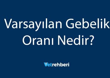 Varsayılan Gebelik Oranı Nedir?