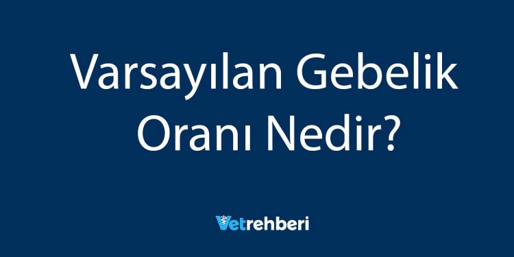 Varsayılan Gebelik Oranı Nedir?