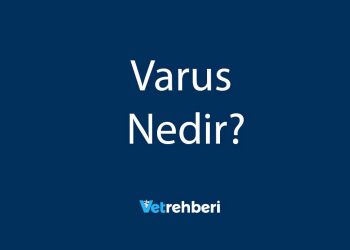 Varus Nedir?