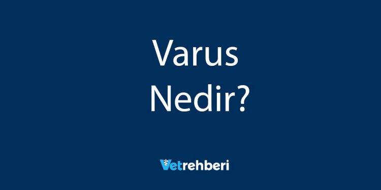 Varus Nedir?