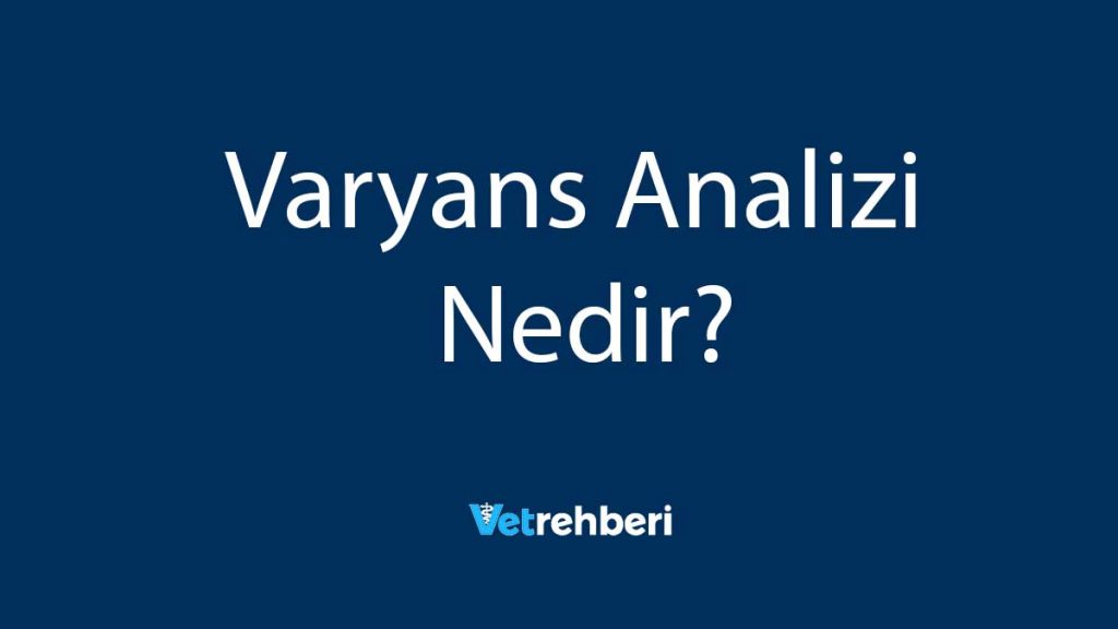 Varyans Analizi Nedir?