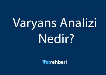 Varyans Analizi Nedir?